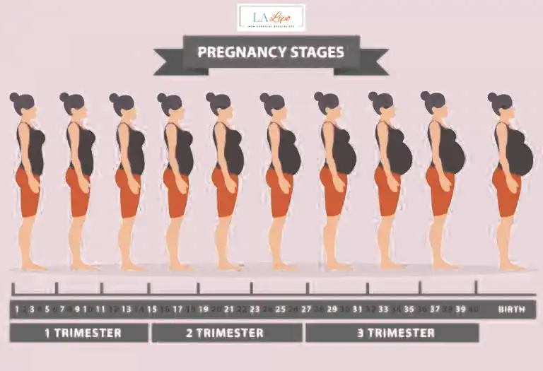 First Trimester (Weeks 1–12): Early Changes You Might Not Notice Thame